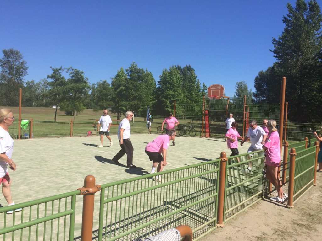 walking-foot à fsgt orne alençon